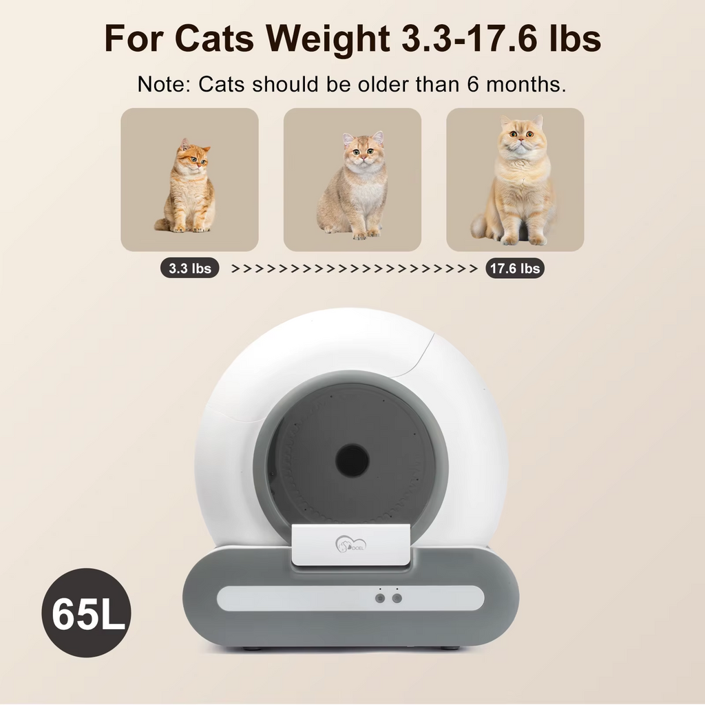 Cat Litter  Self-Cleaning