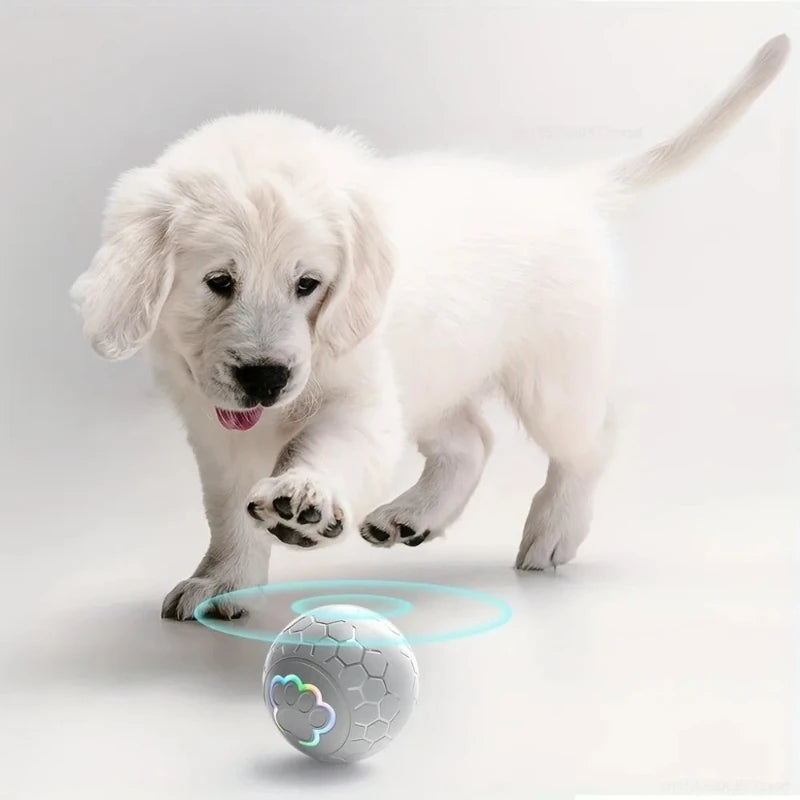 Smart Dog Toy Ball