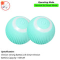 Dog Cat Interactive Ball