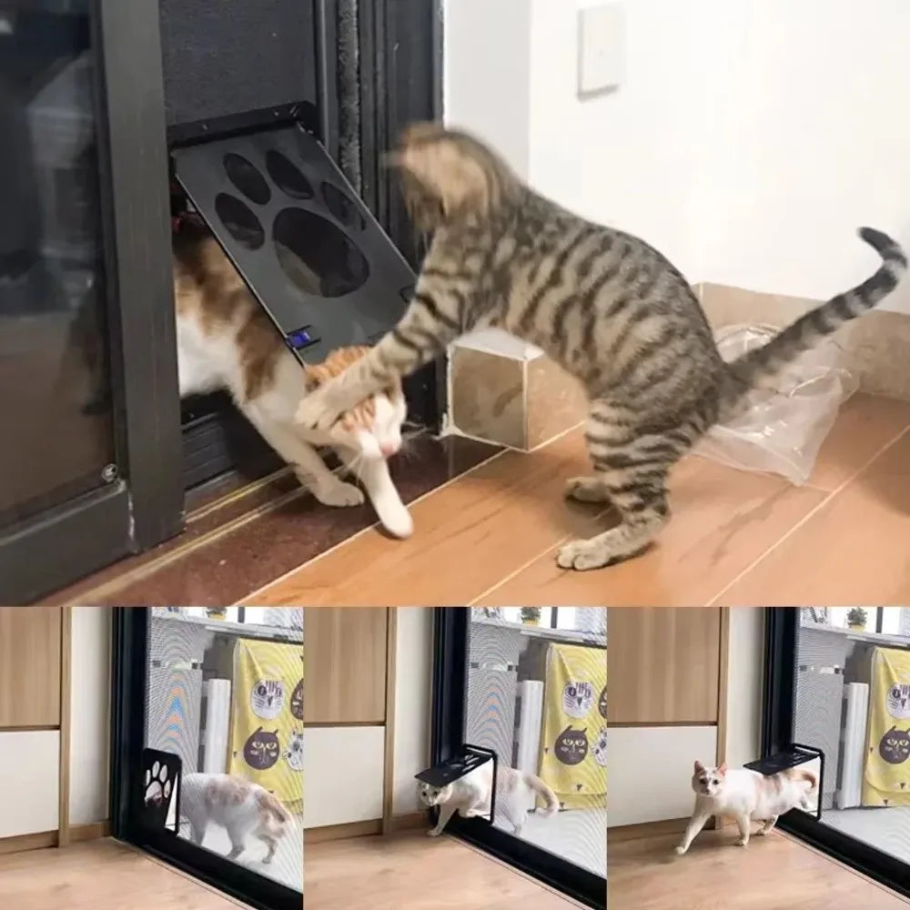 Cat Access
