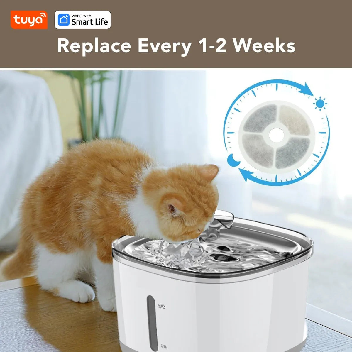 Cat Water Fountain