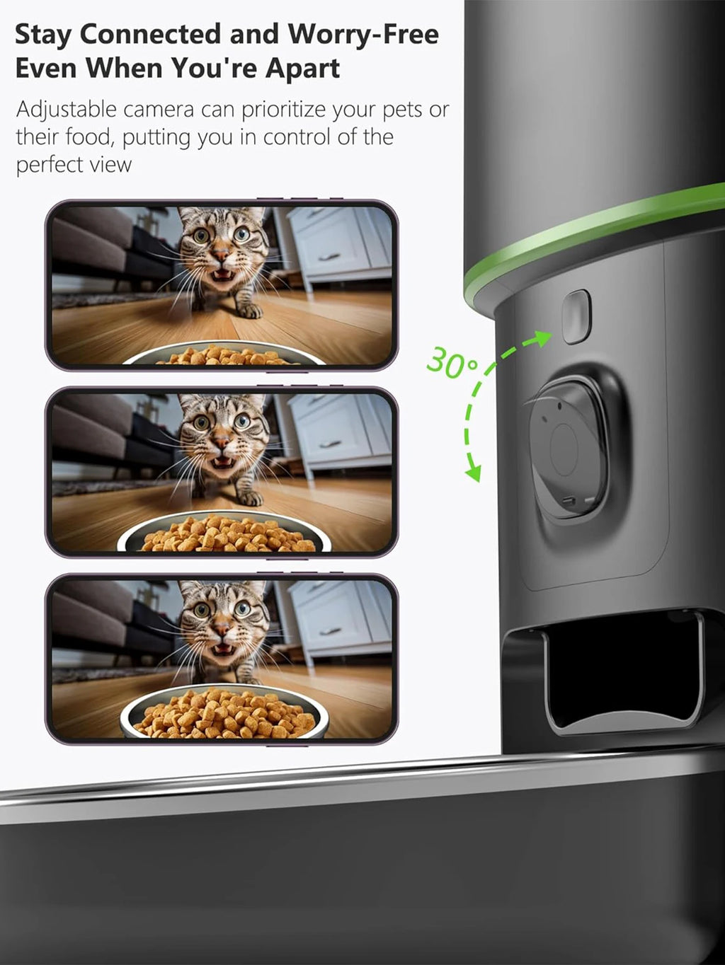 Auto Cat Feeder