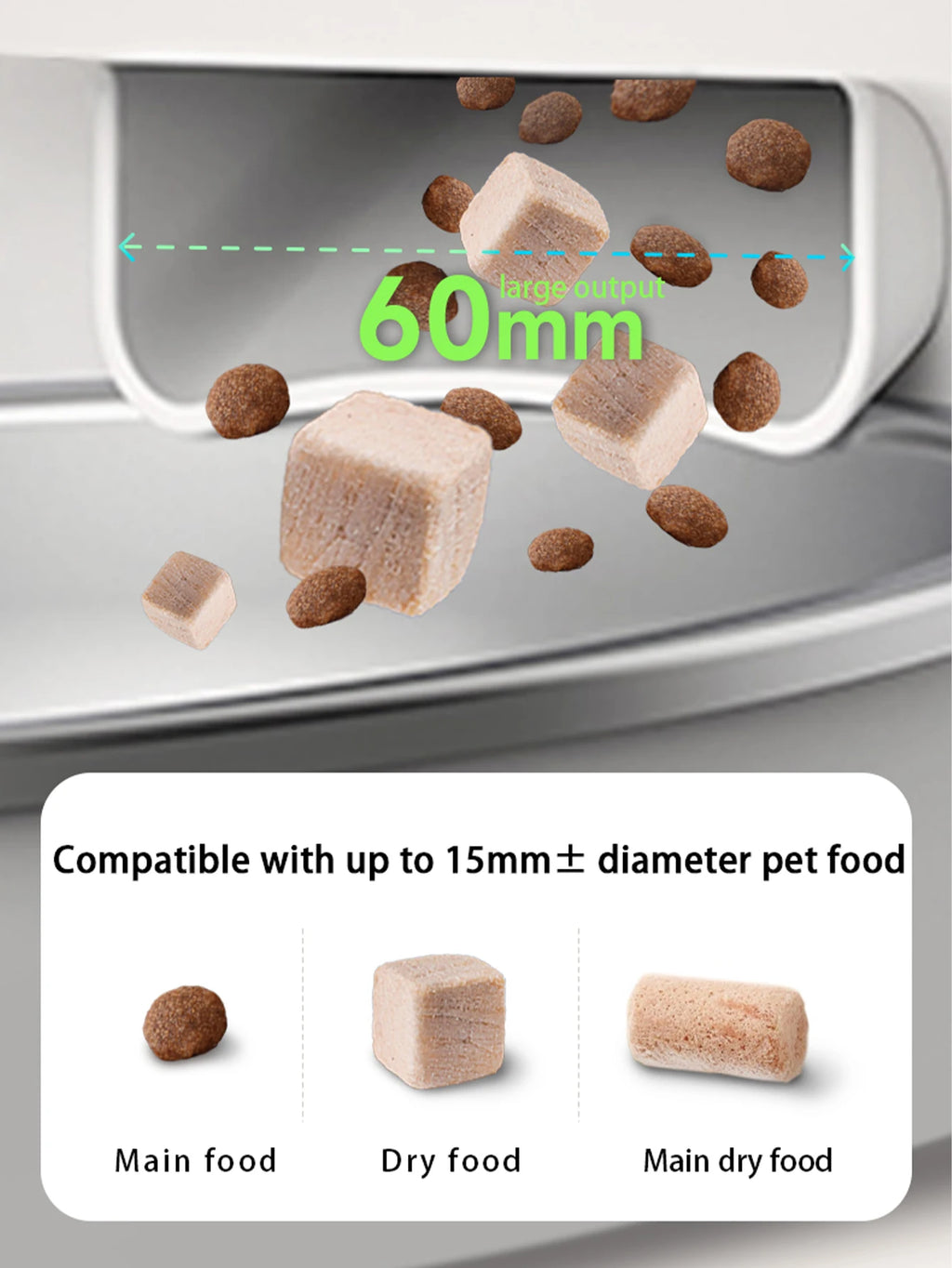 Auto Cat Feeder