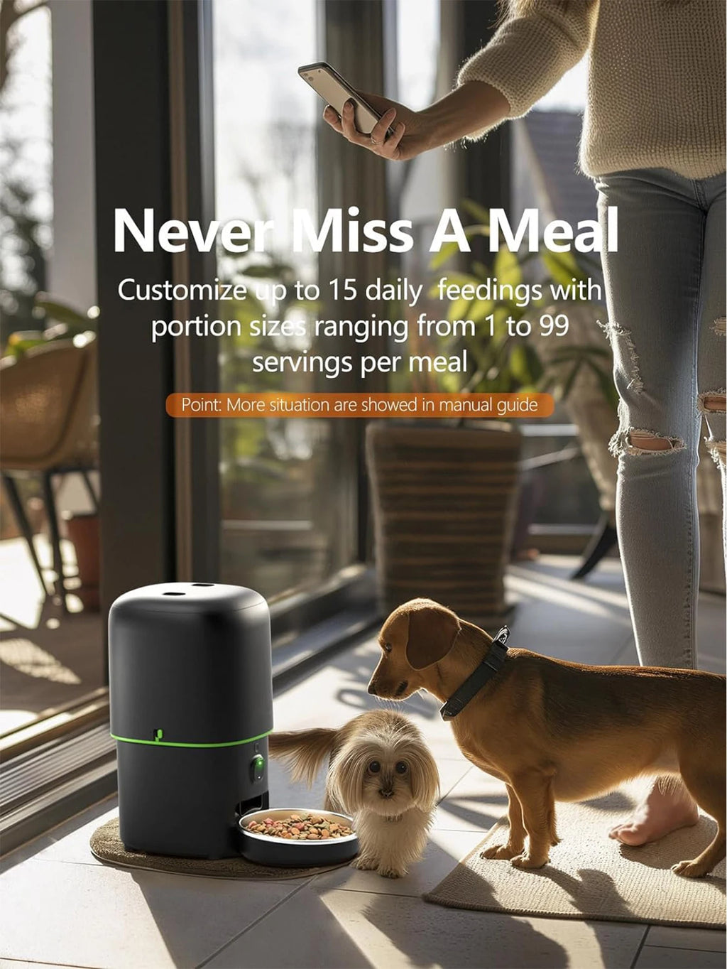 Auto Cat Feeder