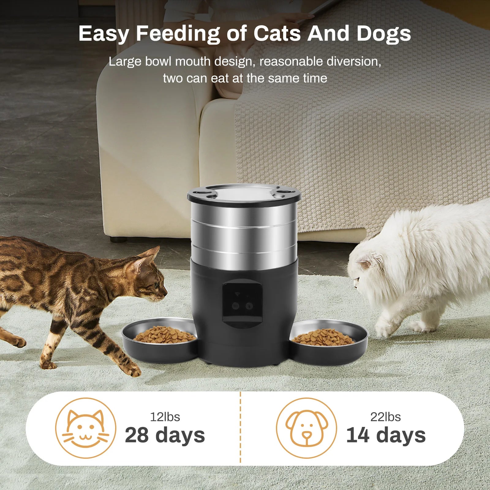 Cat Feeder