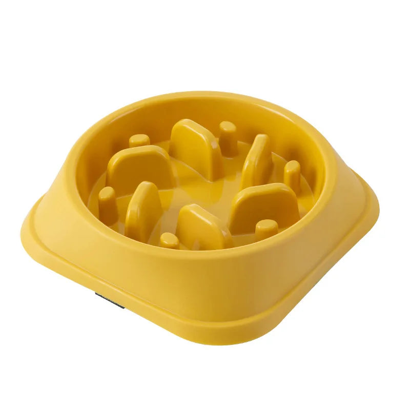 Slow Food Bowl's pet