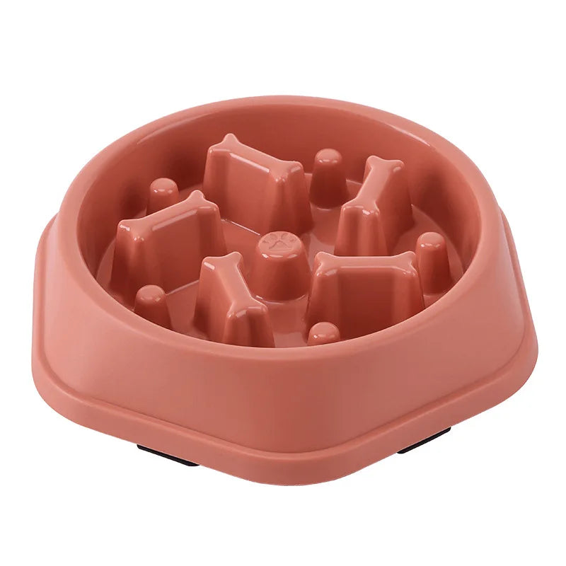 Slow Food Bowl's pet