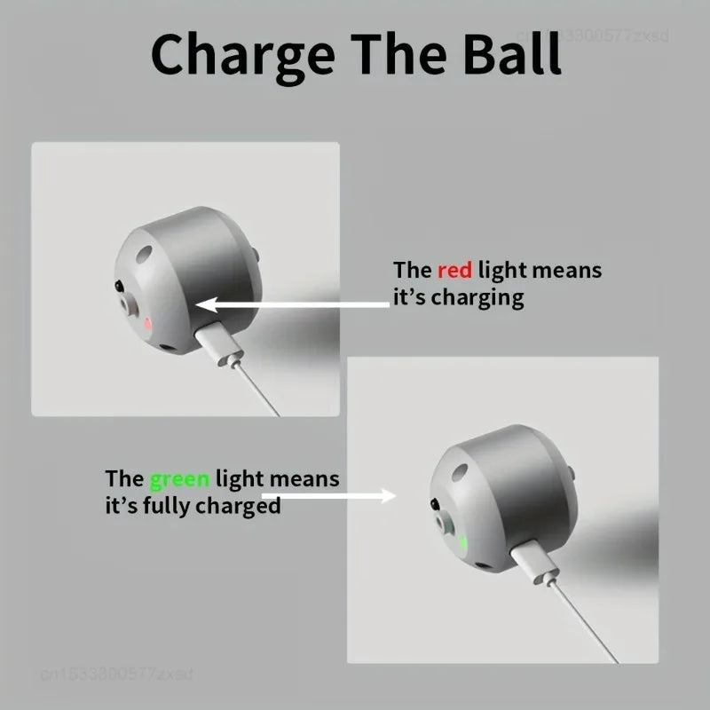 Smart Dog Toy Ball