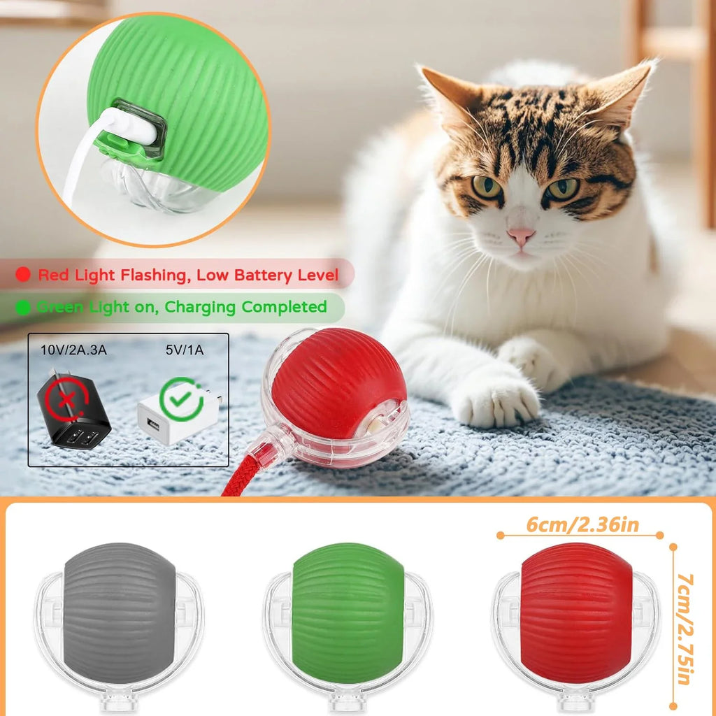 Dog Cat Interactive Ball